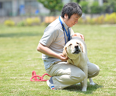 ラブ